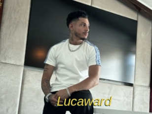 lucaward Archive DVD ORG