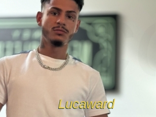 lucaward Archive DVD ORG