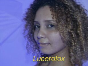 lucerofox Archive DVD ORG