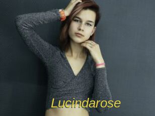lucindarose Archive DVD ORG