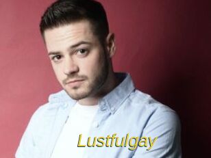 lustfulgay Archive DVD ORG