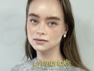 Lynnbricks