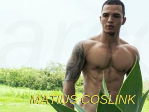 MATIUS_COSLINK
