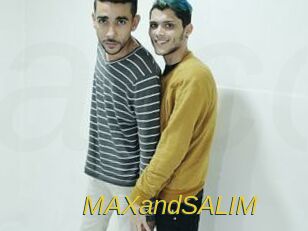 MAXandSALIM