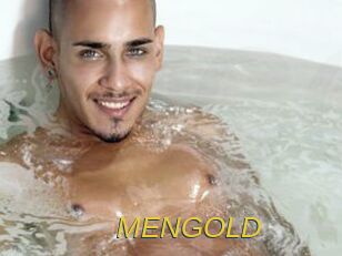 MENGOLD Archive DVD ORG