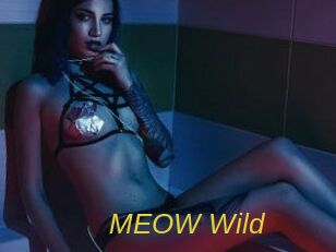 MEOW_Wild