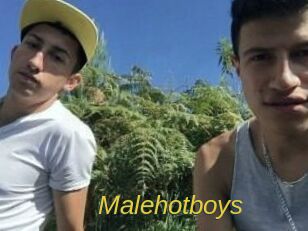 Malehotboys
