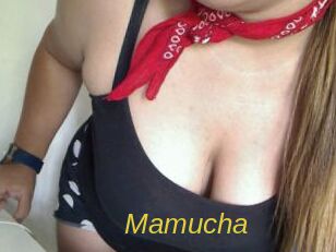 Mamucha