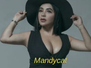 Mandycat