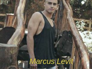 Marcus_Levit