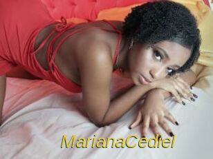 MarianaCediel Archive DVD ORG