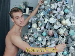 MarvinFrey