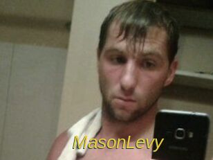 Mason_Levy