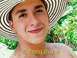 Mateo_Bunny