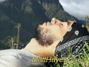 MattHayes