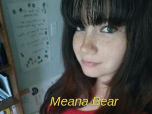 Meana_Bear