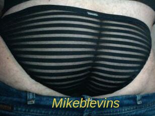 Mikeblevins