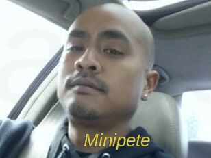 Minipete