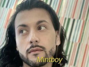 Mintboy