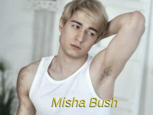 Misha_Bush