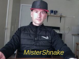 MisterShnake