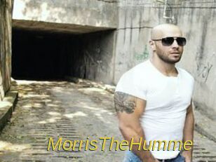 MorrisTheHumme Archive DVD ORG