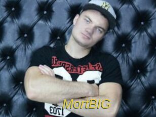 MortBIG