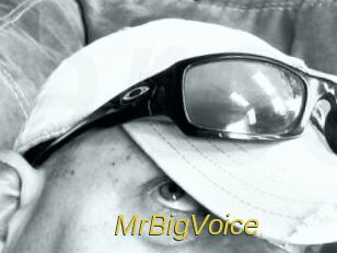 MrBigVoice