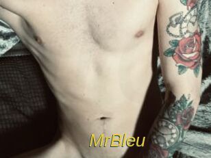 MrBleu