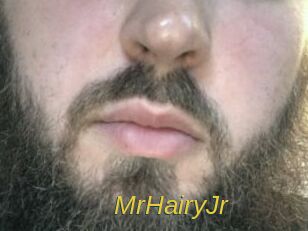 MrHairyJr