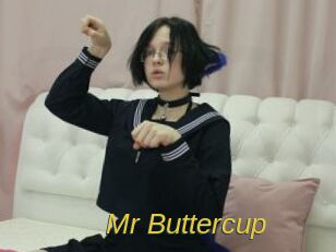 Mr_Buttercup