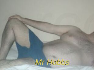 Mr_Hobbs