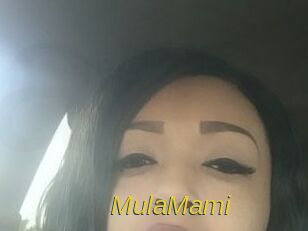 MulaMami Archive DVD ORG