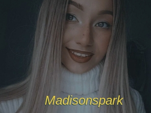 Madisonspark