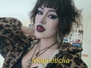magneticlia Archive DVD ORG