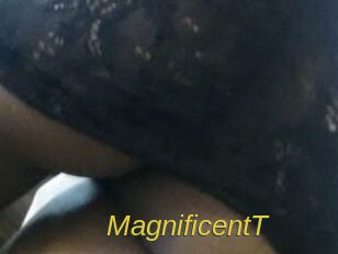 MagnificentT