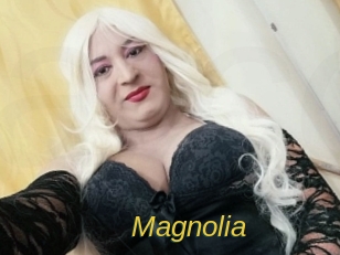Magnolia