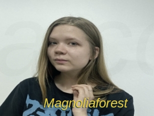 magnoliaforest Archive DVD ORG
