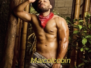 maicolcobin Archive DVD ORG