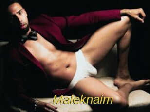 Maleknaim