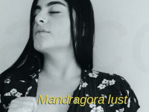 Mandragora_lust