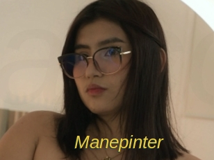 Manepinter