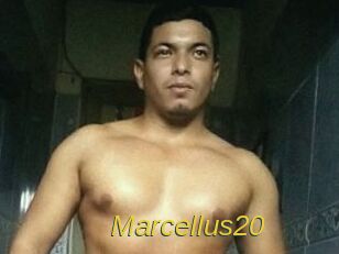 Marcellus20