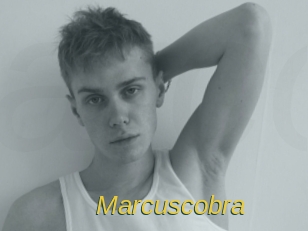 Marcuscobra