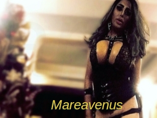 mareavenus Archive DVD ORG