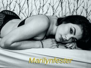 marilynfester Archive DVD ORG