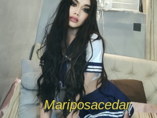mariposacedar Archive DVD ORG