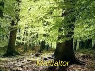 Martiaitor