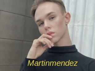 martinmendez Archive DVD ORG
