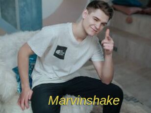 Marvinshake